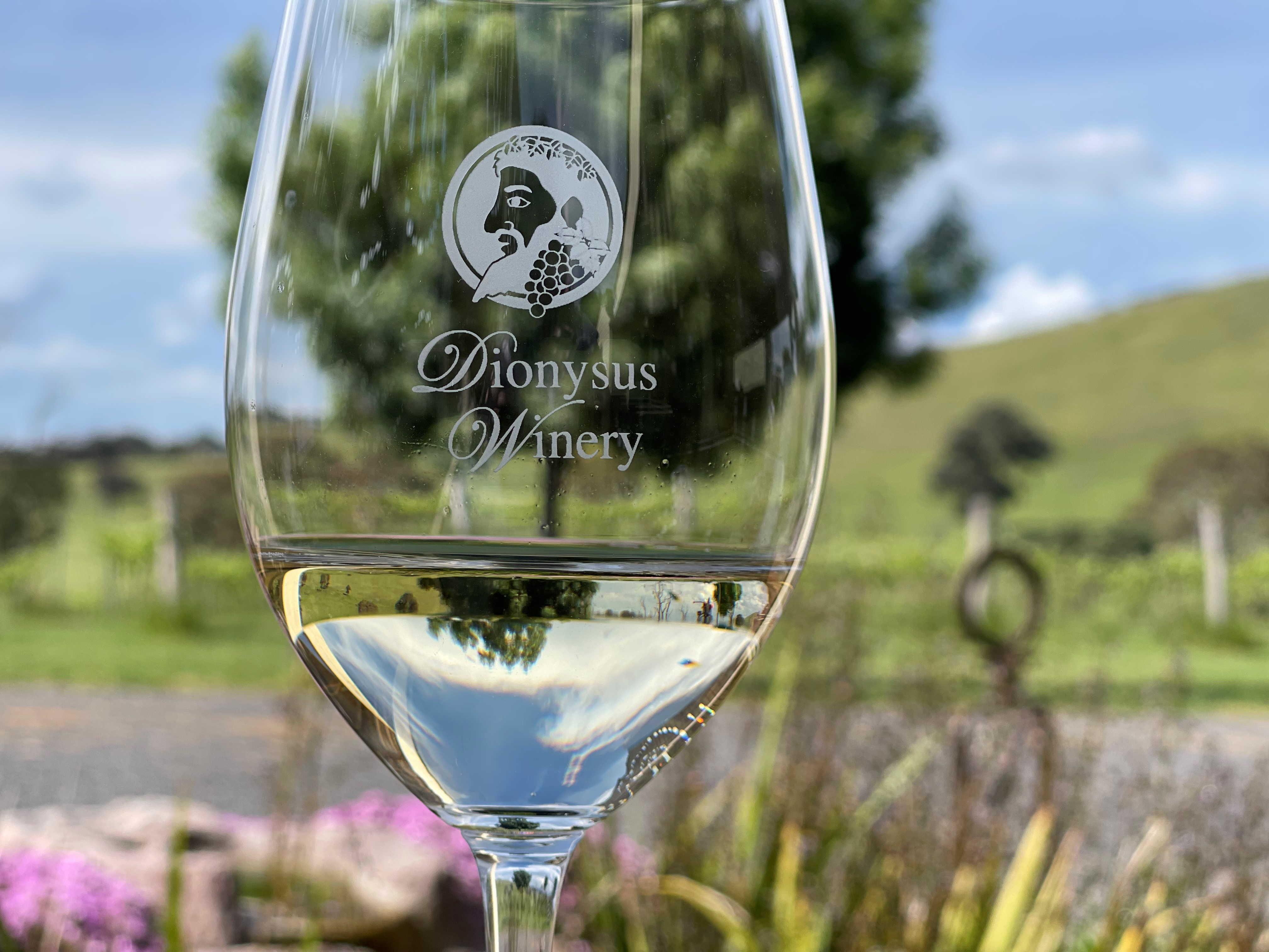 Dionysus Winery wineglass outside 